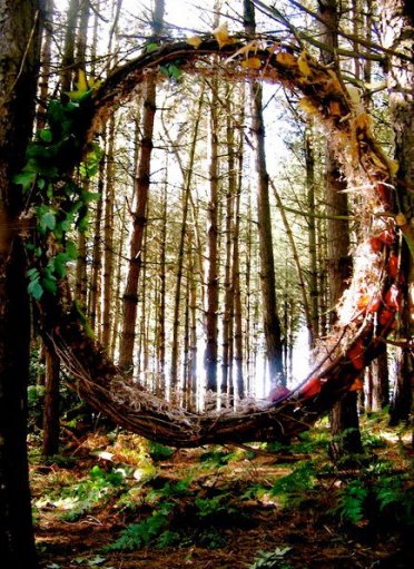 430891_448734425191800_2035591717_n